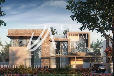 2405.54m² Land on the Saadiyat Island, UAE No. 221743 3