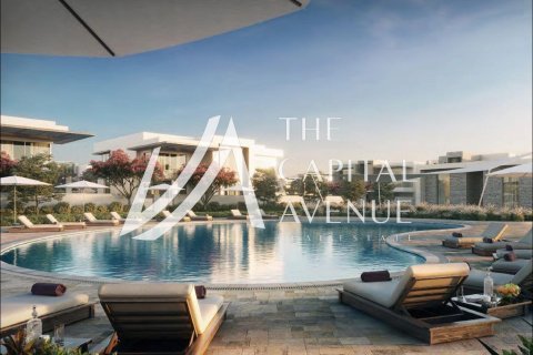 2405.54m² Land on the Saadiyat Island, UAE No. 221743 4
