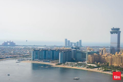 3 غرف نوم شقة في Dubai Harbour, الإمارات العربية المتحدة رقم 160996 5