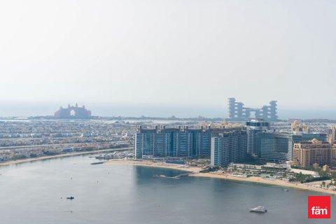 3 غرف نوم شقة في Dubai Harbour, الإمارات العربية المتحدة رقم 160996 15