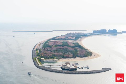 3 غرف نوم شقة في Dubai Harbour, الإمارات العربية المتحدة رقم 160996 13