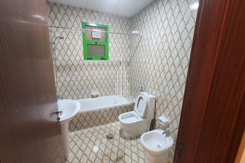 Вилла с 10 спальнями в Аль-Батин, ОАЭ №42528 11