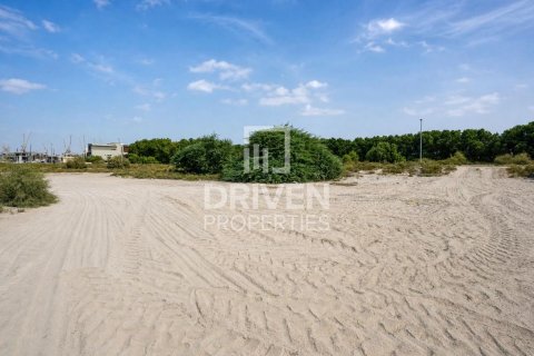 Земельный участок 3804.29м² в Nad Al Sheba 1, ОАЭ №222933 8
