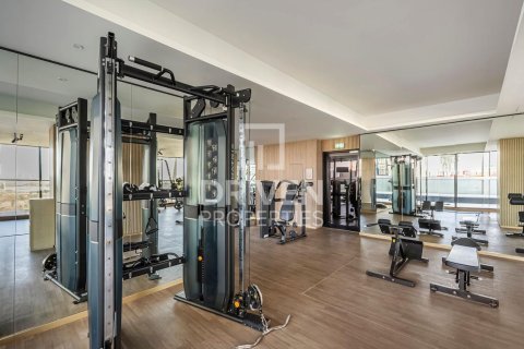 Appartement de 2 chambres à District 10, UAE No. 218254 15