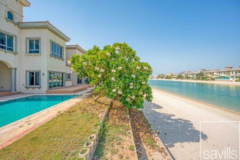 5 غرفة نوم فيلا في Signature Villas, الإمارات العربية المتحدة رقم 224810 15