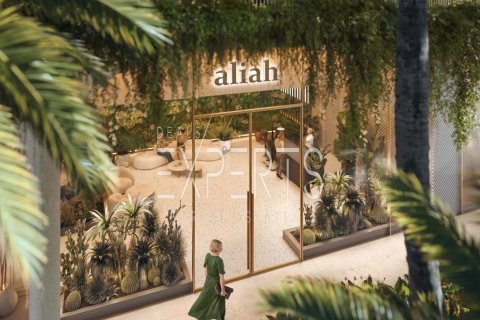 1 bedroom Apartment on the Saadiyat Island, UAE No. 224008 16