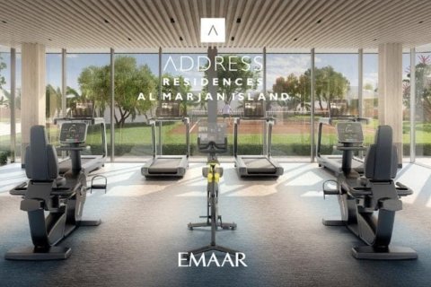 1 bedroom Apartment in Ras Al Khaimah, UAE No. 183961 8