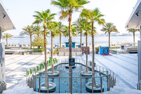 Apartment de 2 dormitorios en Al Raha Beach, UAE No. 223418 11