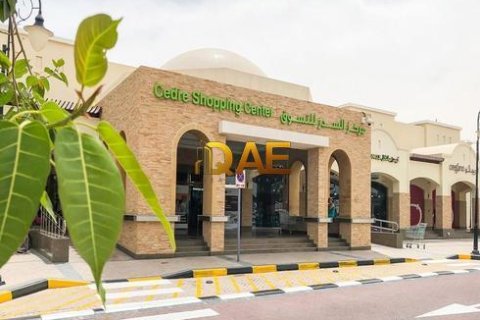 Villa de 5 chambres à Dubai Silicon Oasis, UAE No. 18316 13