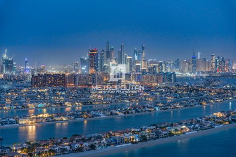 4 غرف نوم شقة في نخلة جميرا, الإمارات العربية المتحدة رقم 129037 19