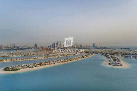 4 غرف نوم شقة في نخلة جميرا, الإمارات العربية المتحدة رقم 129037 22