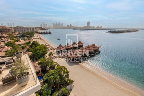 Appartement de 4 chambres à The Crescent, UAE No. 211297 27