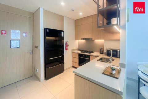 Apartment de 2 dormitorios en Downtown Dubai (Downtown Burj Dubai), UAE No. 203461 4