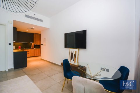 Studio Apartment in Downtown Dubai (Downtown Burj Dubai), UAE No. 153911