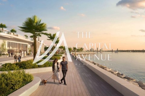 Villa de 4 dormitorios en Al Hudayriat Island, UAE No. 215440 12