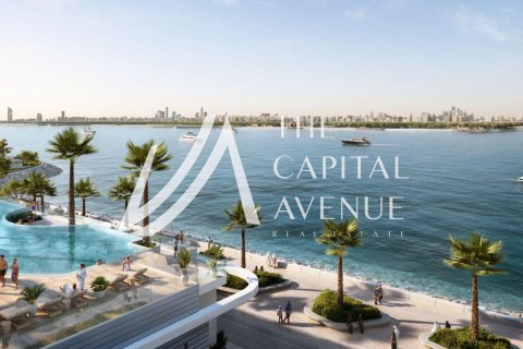Villa de 4 dormitorios en Al Hudayriat Island, UAE No. 215440 14