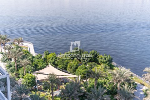 3 bedrooms Apartment in Dubai Creek Harbour (The Lagoons), UAE No. 129911 22
