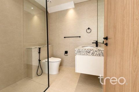 4 bedrooms Townhouse in Damac Lagoons, UAE No. 220902 20
