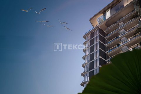 Appartement de 2 chambres à Al Wasl, UAE No. 154287 6