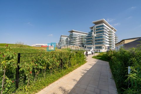 Apartment de 1 dormitorio en  Yas Island, UAE No. 149756 19