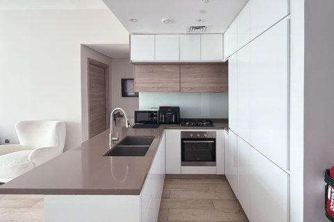 Apartment de 1 dormitorio en Studio One, UAE No. 223441 17