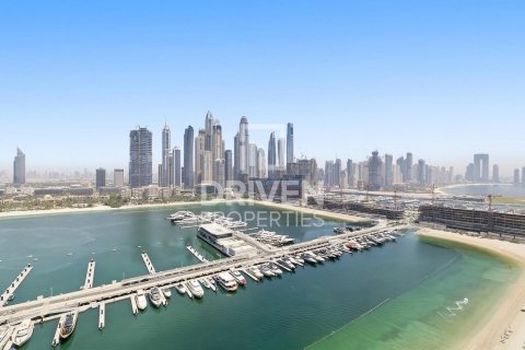 3 bedrooms Apartment in EMAAR Beachfront, UAE No. 212481 19