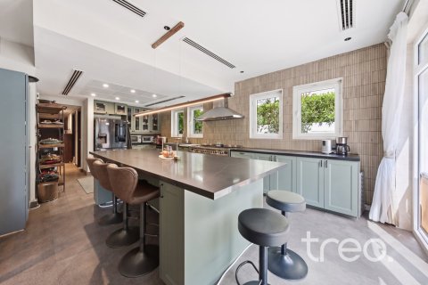 5 bedrooms Villa in Regional, UAE No. 224974 3