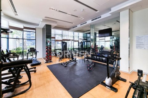 Appartement de 1 chambre à Downtown Dubai (Downtown Burj Dubai), UAE No. 209328 21