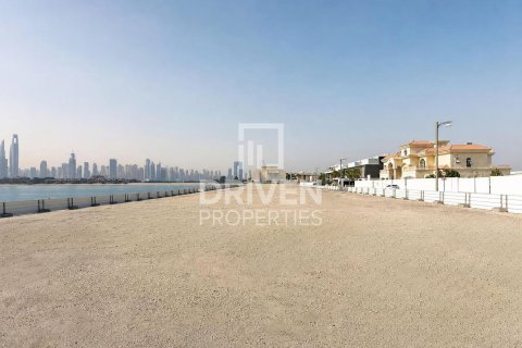 2523.06m² Land in Palm Jumeirah, UAE No. 221048 3