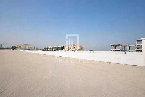 2523.06m² Land in Palm Jumeirah, UAE No. 221048 10