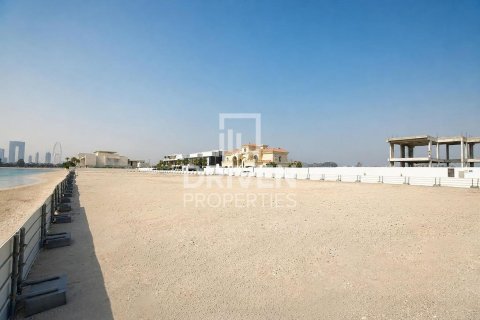2523.06m² Land in Palm Jumeirah, UAE No. 221048 4