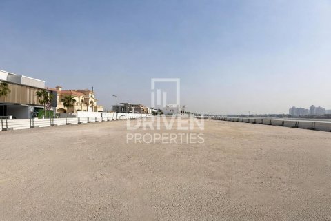 2523.06m² Land in Palm Jumeirah, UAE No. 221048 7