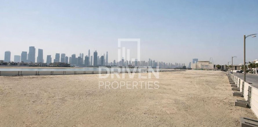 2523.06m² Land in Palm Jumeirah, UAE No. 221048