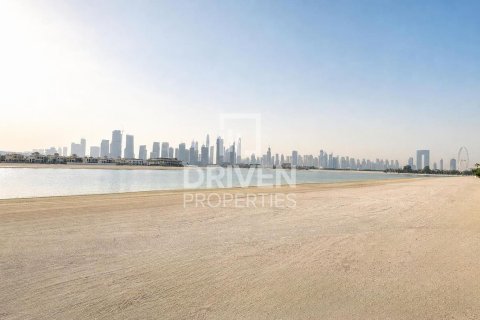 2523.06m² Land in Palm Jumeirah, UAE No. 221048 5