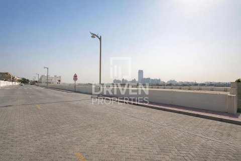 2523.06m² Land in Palm Jumeirah, UAE No. 221048 11