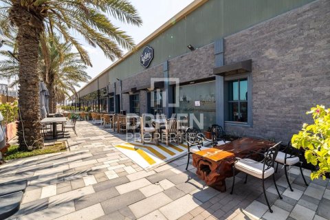 1 bedroom Apartment in Mina Rashid, UAE No. 211880 19