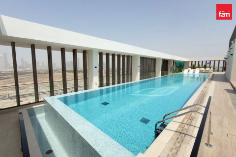 Appartement de 2 chambres à Al Jaddaf, UAE No. 213656
