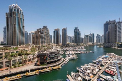 Apartment de 4 dormitorios en Marina Gate, UAE No. 222601 17