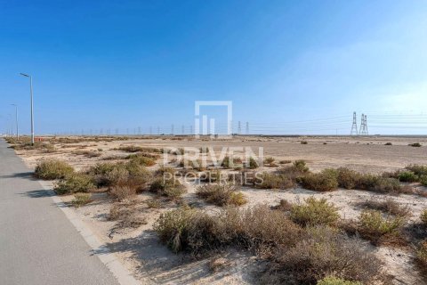 1203.47m² Land in Jebel Ali, UAE No. 221076 10