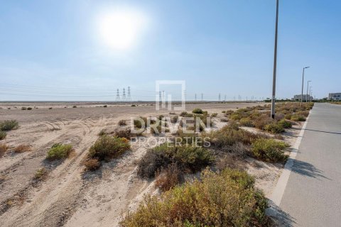1203.47m² Land in Jebel Ali, UAE No. 221076 7