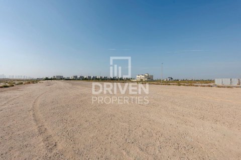 1203.47m² Land in Jebel Ali, UAE No. 221076 6