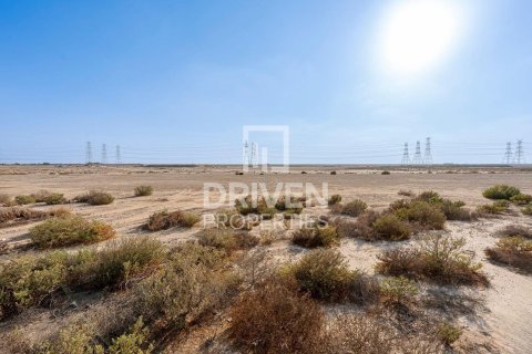 1203.47m² Land in Jebel Ali, UAE No. 221076 8