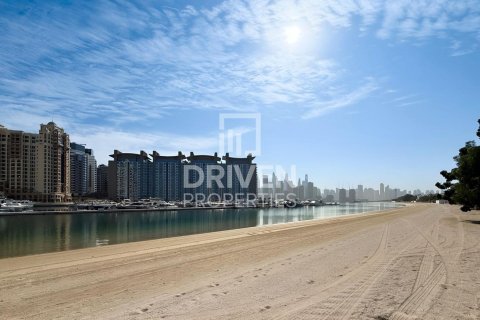 Вилла с 6 спальнями в Signature Villas, ОАЭ №202845 30