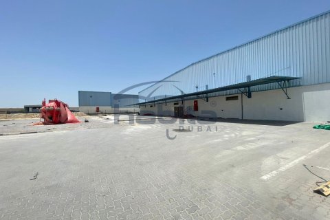 Warehouse de 5574.1m² en Jebel Ali, UAE No. 35256 14