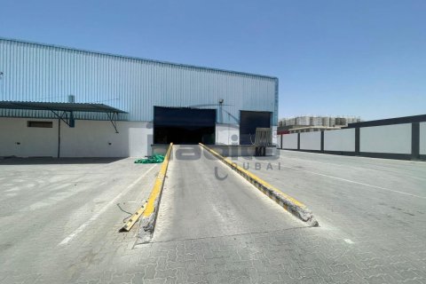 Warehouse de 5574.1m² en Jebel Ali, UAE No. 35256 4