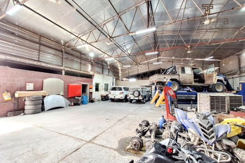 Warehouse de 427.4m² en Ras Al Khor Industrial, UAE No. 38880 3