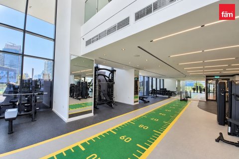 33.2m² Apartment in Downtown Dubai (Downtown Burj Dubai), UAE No. 223872 15