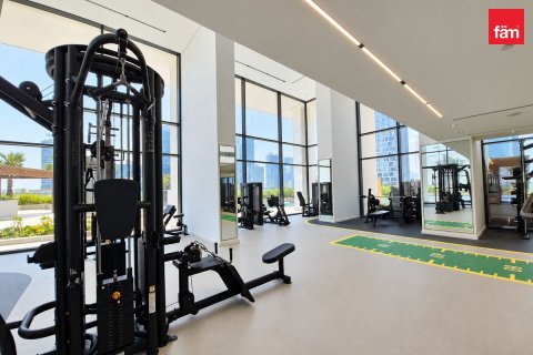 33.2m² Apartment in Downtown Dubai (Downtown Burj Dubai), UAE No. 223872 16