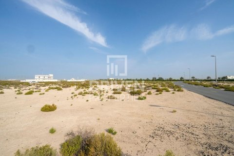 Земельный участок 1013.67м² в Джабаль-Али, ОАЭ №217643 10