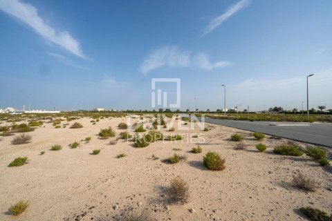 Земельный участок 1013.67м² в Джабаль-Али, ОАЭ №217643 7
